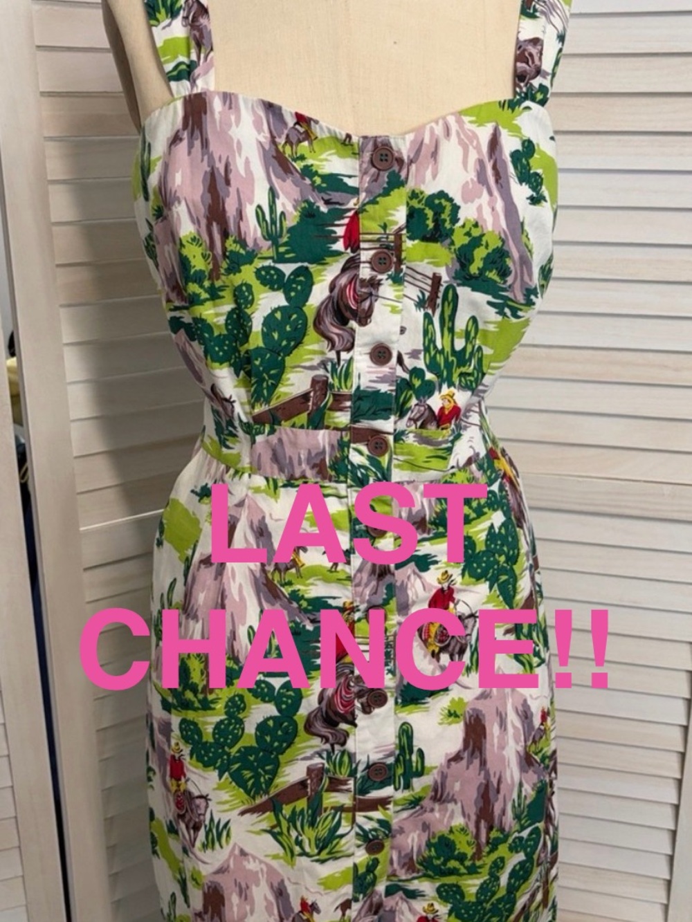 **CLOSING PM STORE 9/1*** Emily and Fin Cowboy Print button up dress
